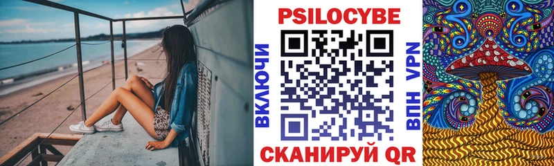 Псилоцибиновые грибы Psilocybine cubensis  Сковородино 